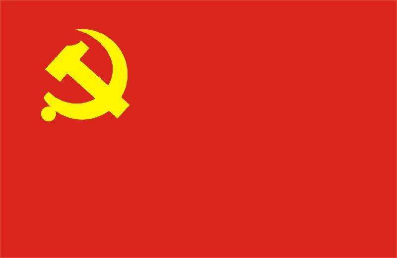 公司组织学习 《中国共产党发展党员工作细则》